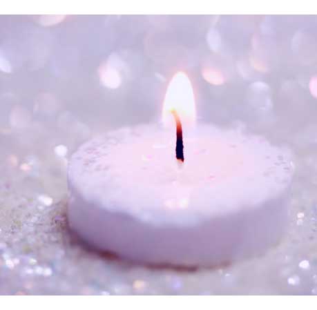 cremation services Lake Nona, FL